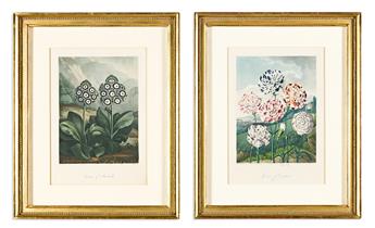 (BOTANICAL.) Dr. Robert John Thornton. Group of 14 uniformly framed plates from the quarto edition of Temple of Flora.                           